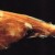 8. Black Swallower Fish 8. Black Swallower Fish