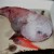 2. Blobfish 2. Blobfish