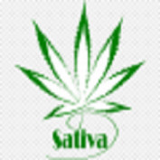 sativaleaf profile image