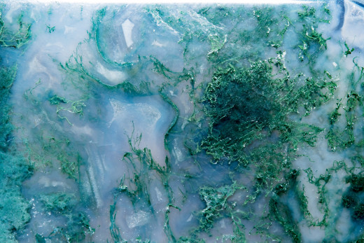 Moss agate has moss like dendric inclusions. 