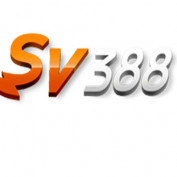 sv388io1 profile image