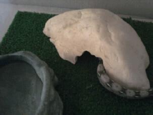 Tiny going into cave