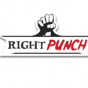 Rightpunchlnc profile image