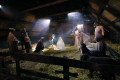 The Living Nativity Festival of the Moravians