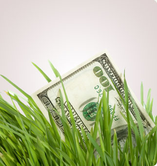 Save money and go green