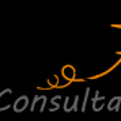 wslconsultants1 profile image