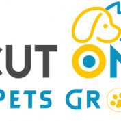 cutoncar profile image