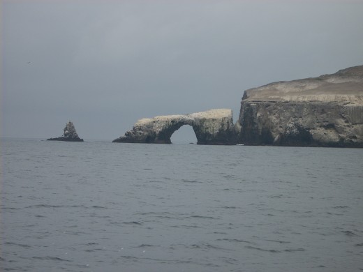 The island of Anacapa is a great place to see wildlife. Believe it or not, this was taken in June. California can get pretty chilly at times.