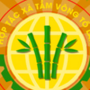 htxtamvongtolan profile image