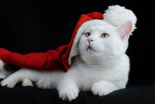 I will give out the presents, they are all mine, right?