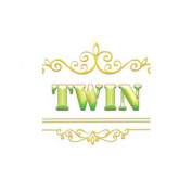 twin68vin profile image