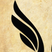 guongdecor profile image