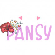 Pansytees profile image