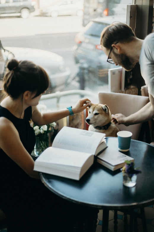 Your Virgo dog might outsmart you. You might catch them reading your books.