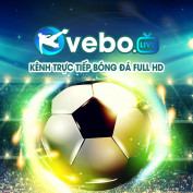 vebolive profile image