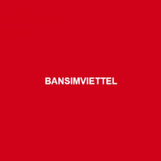 bansimviettel profile image