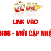 QH88ltd profile image