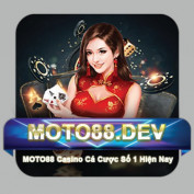moto88dev profile image