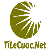 tilecuocnet profile image