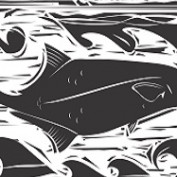 congofishes profile image