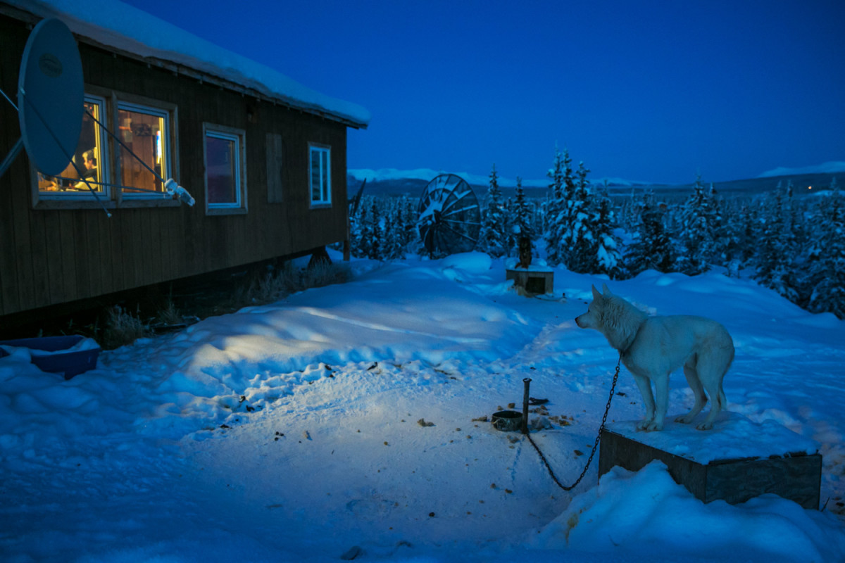 The Arctic Life: Traditional and Modern