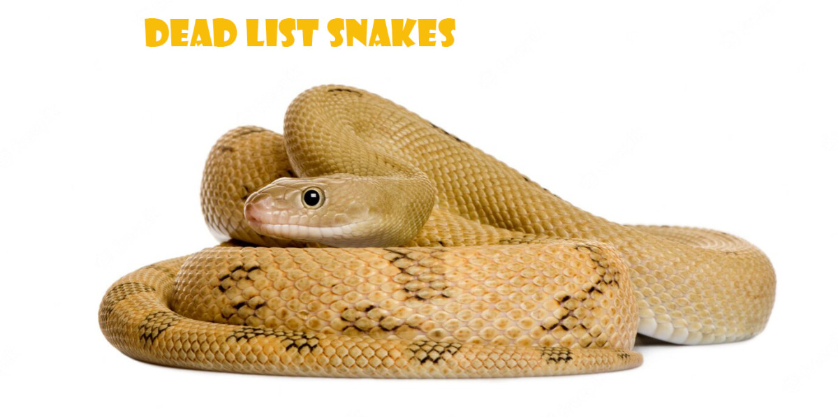 The Deadliest Snakes in  the World