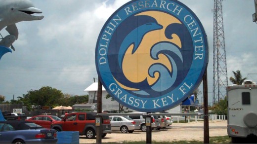 Small RV under Dolphin Research Center Sign