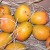 Ripe Yellow Mangos