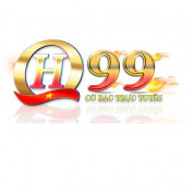 qh99vnlive profile image