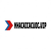 nhacaicacuoc profile image