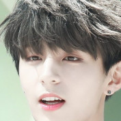 ngocdieplan profile image