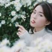 dangphuonglan profile image