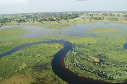 The Okavango Delta