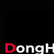 donghorepvn profile image
