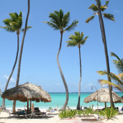 provacationgroup profile image