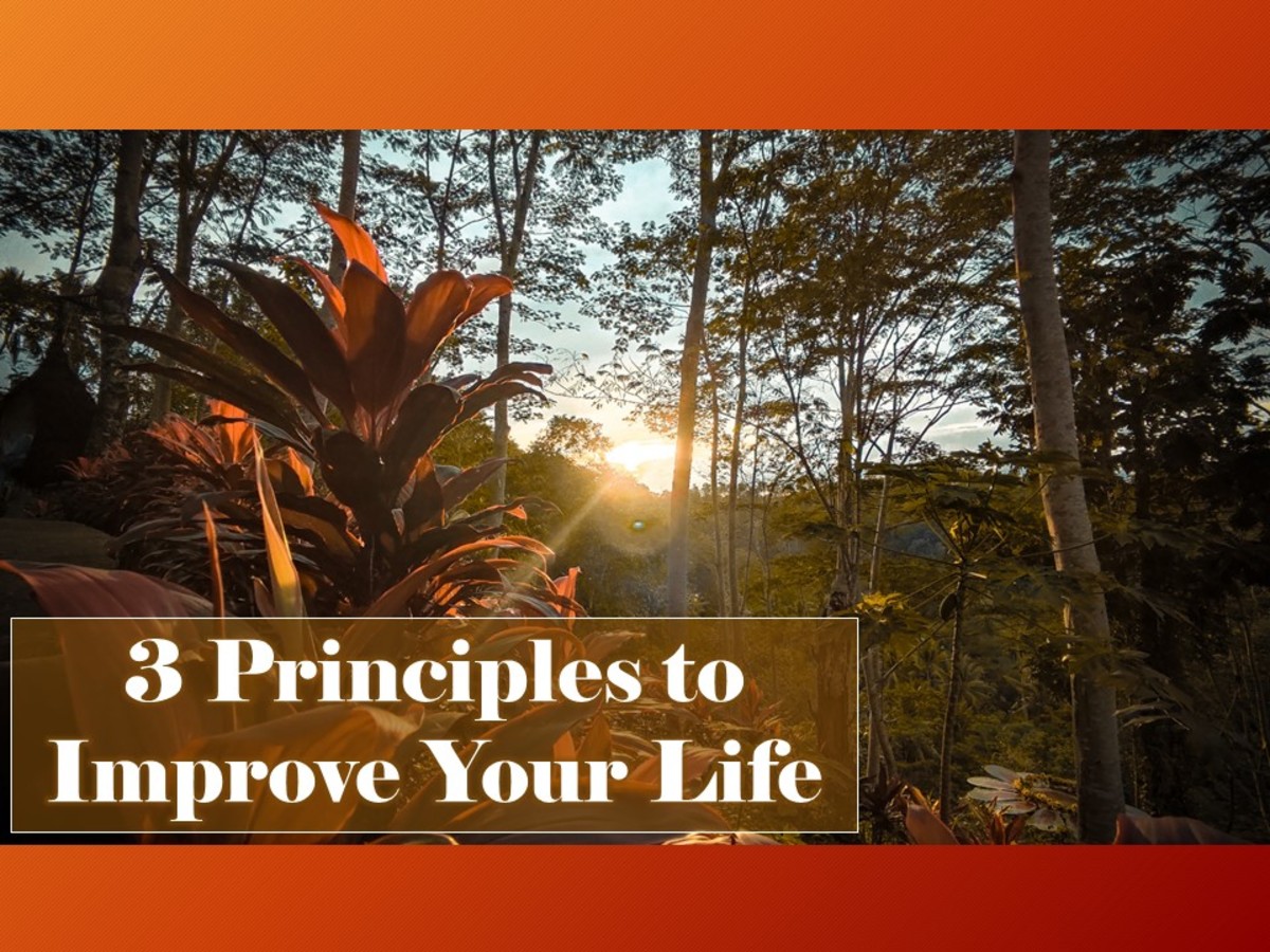 3 Principles to Improve Your Life