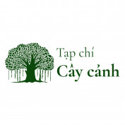 tapchicaycanh profile image