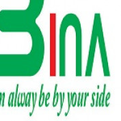 binavietnam profile image