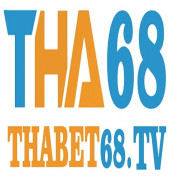 thabet68tv1 profile image