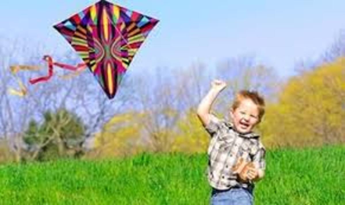 Kite With Fight