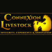 connexionlivestock profile image