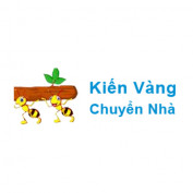 cnkienvangvn profile image