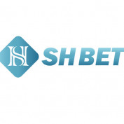 shbetteam profile image