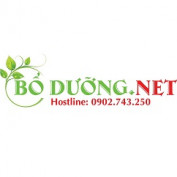 boduongnet profile image