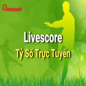 tysobdtructuyen profile image