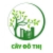 caydothi profile image