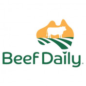 BeefDaily profile image
