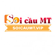 soicaumtvip profile image