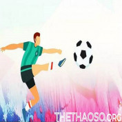 thethaoso org profile image