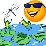 Pond Expert profile image